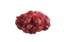 Sättlök Röd 'Red Baron' 250 g Grønne Fingre®